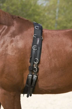 Kieffer longeringsgjord