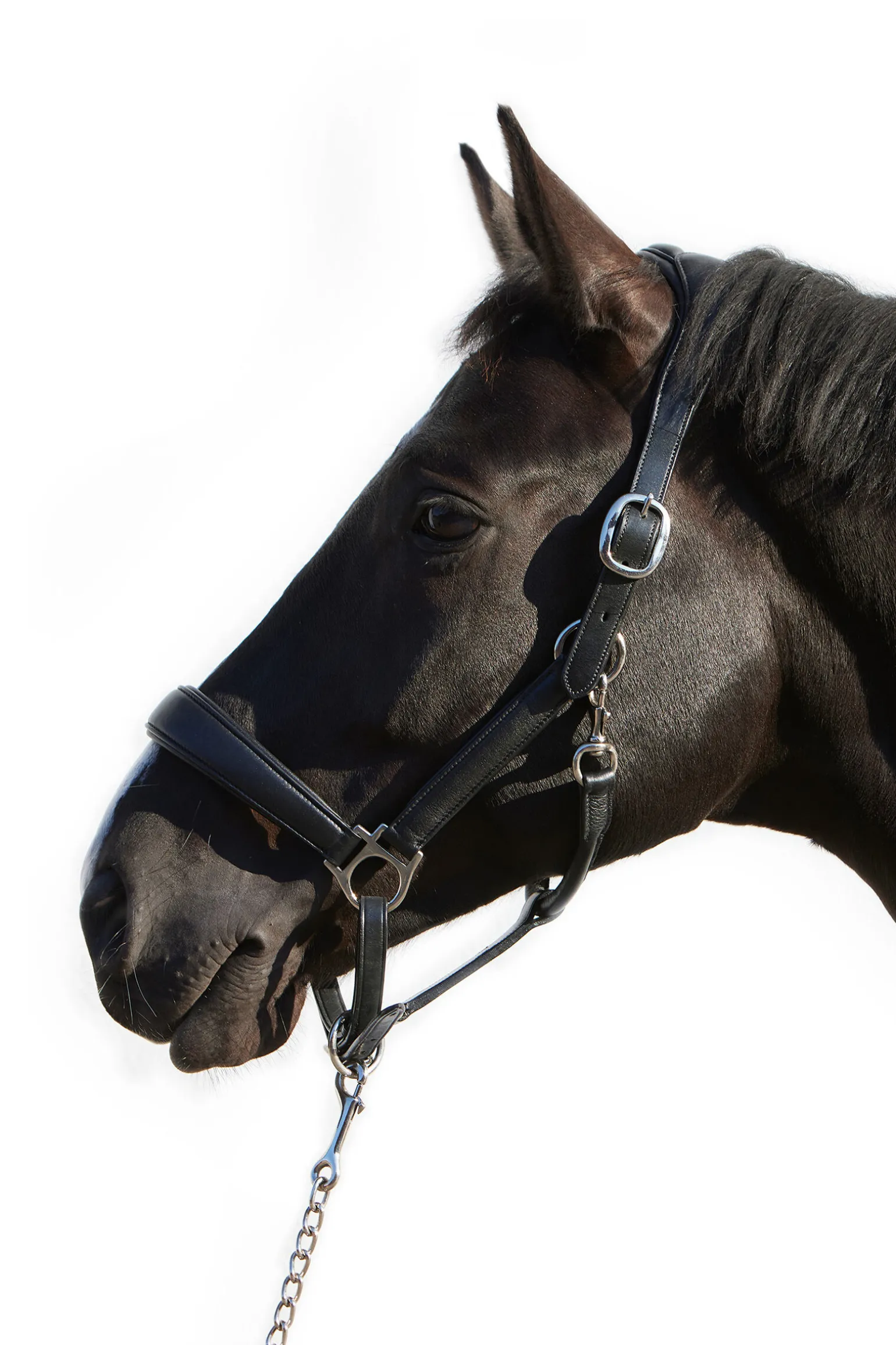 Kieffer Ultrasoft® Deluxe lærgrime