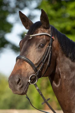 Kieffer Ultrasoft® Sue hodelag