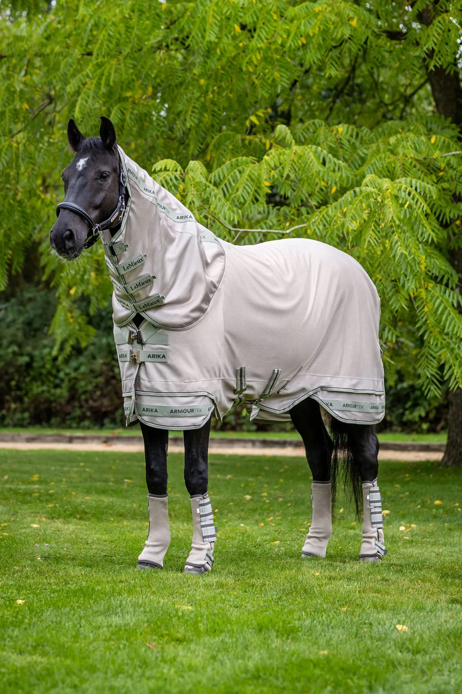 LeMieux Arika Armour-Tek Fluedekken med avtakbar halsdel