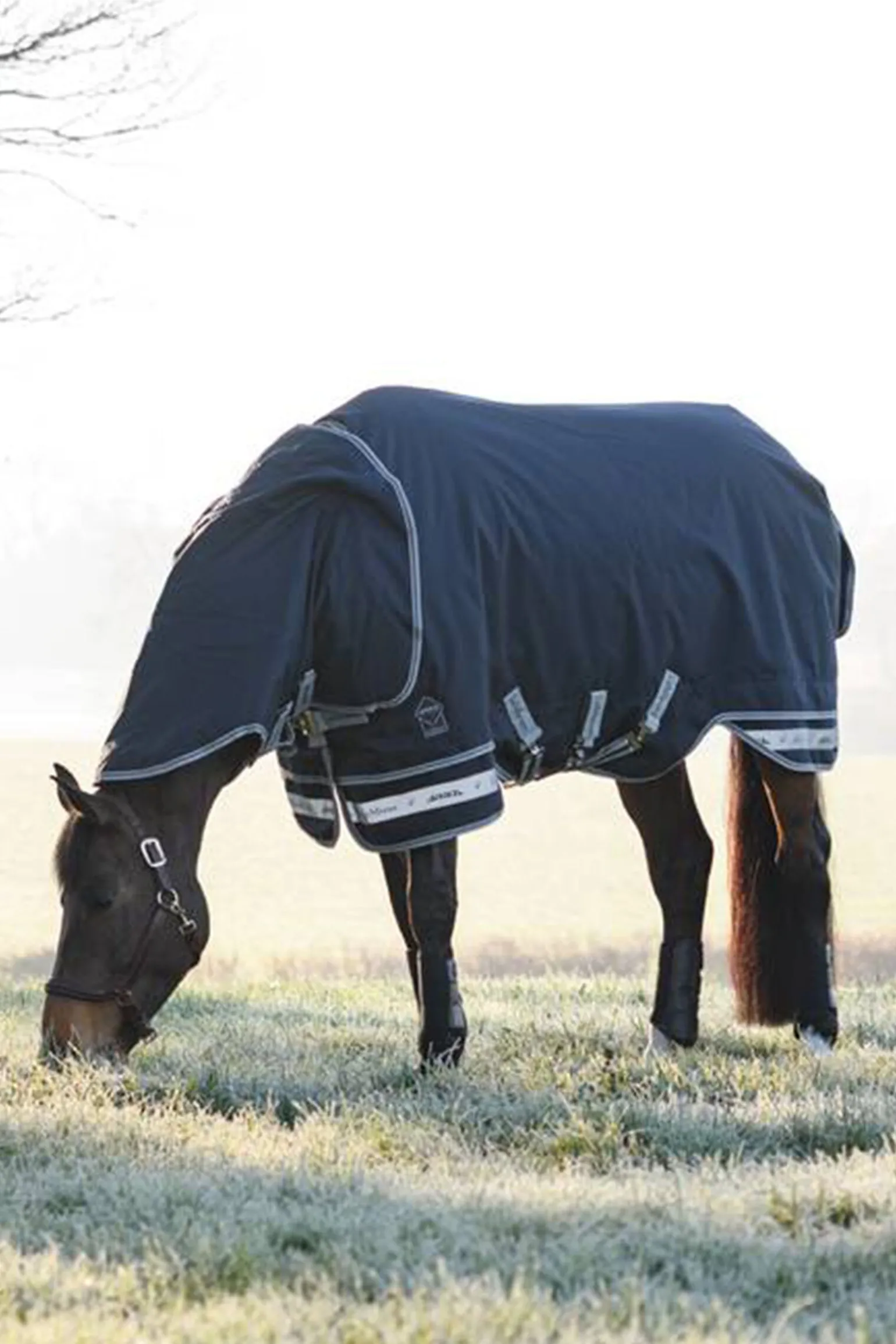 LeMieux Arika Storm-Tek Lightweight Turnout Rug, 100g