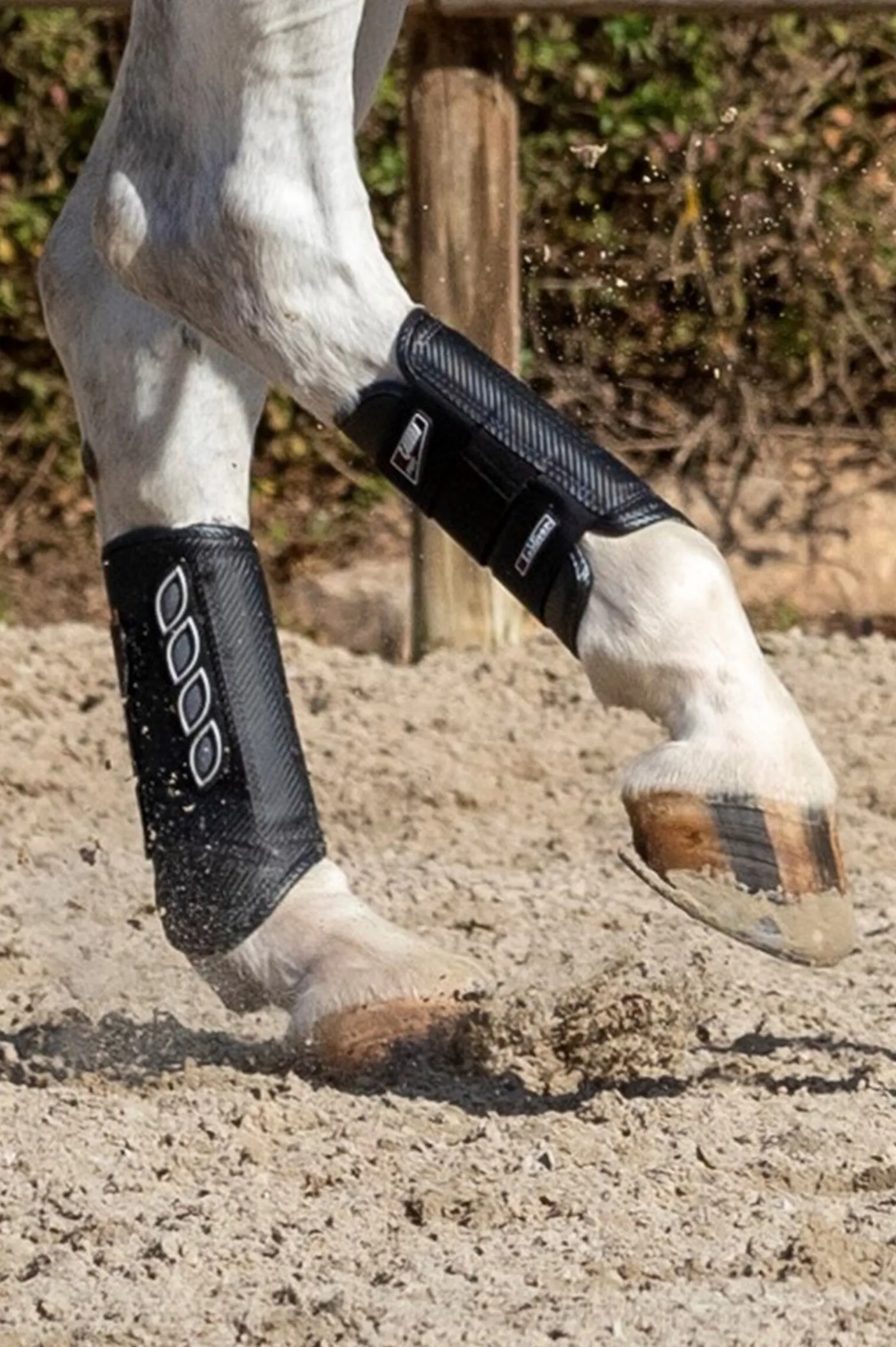 LeMieux Carbon Air XC belegg, bakbein