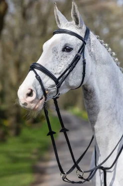 LeMieux Competition Flash hodelag