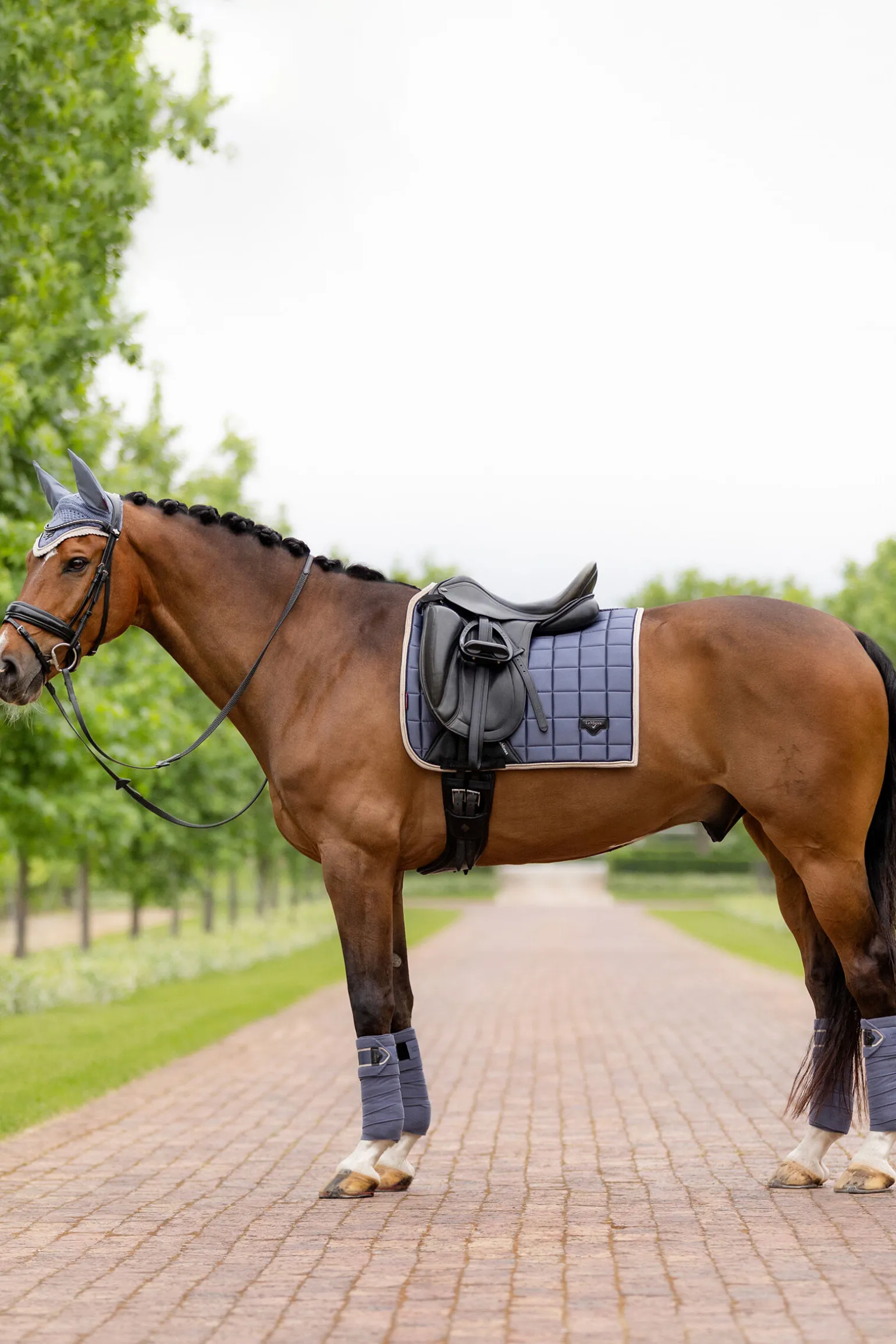 LeMieux Loire Classic dressursjabrak