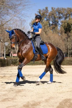 LeMieux Luxury dressursjabrak