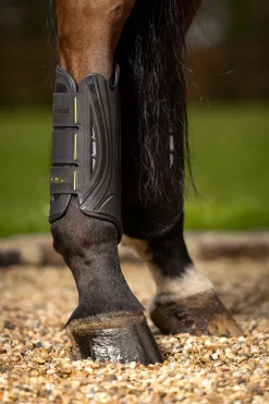 LeMieux MIMSafe XC Gamasche, bak