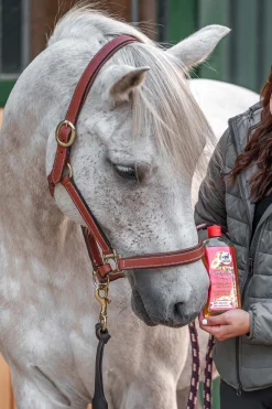 Leovet Power Shampoo med kamille for lyst hår