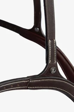 PS of Sweden fortøy Tokyo