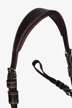 PS of Sweden fortøy Tokyo