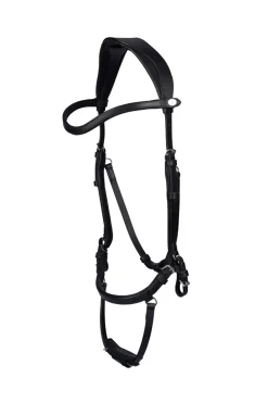 PS of Sweden Hodelag King Edward