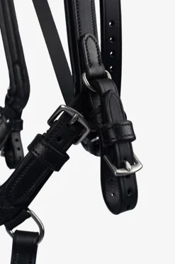 PS of Sweden Hodelag King Edward