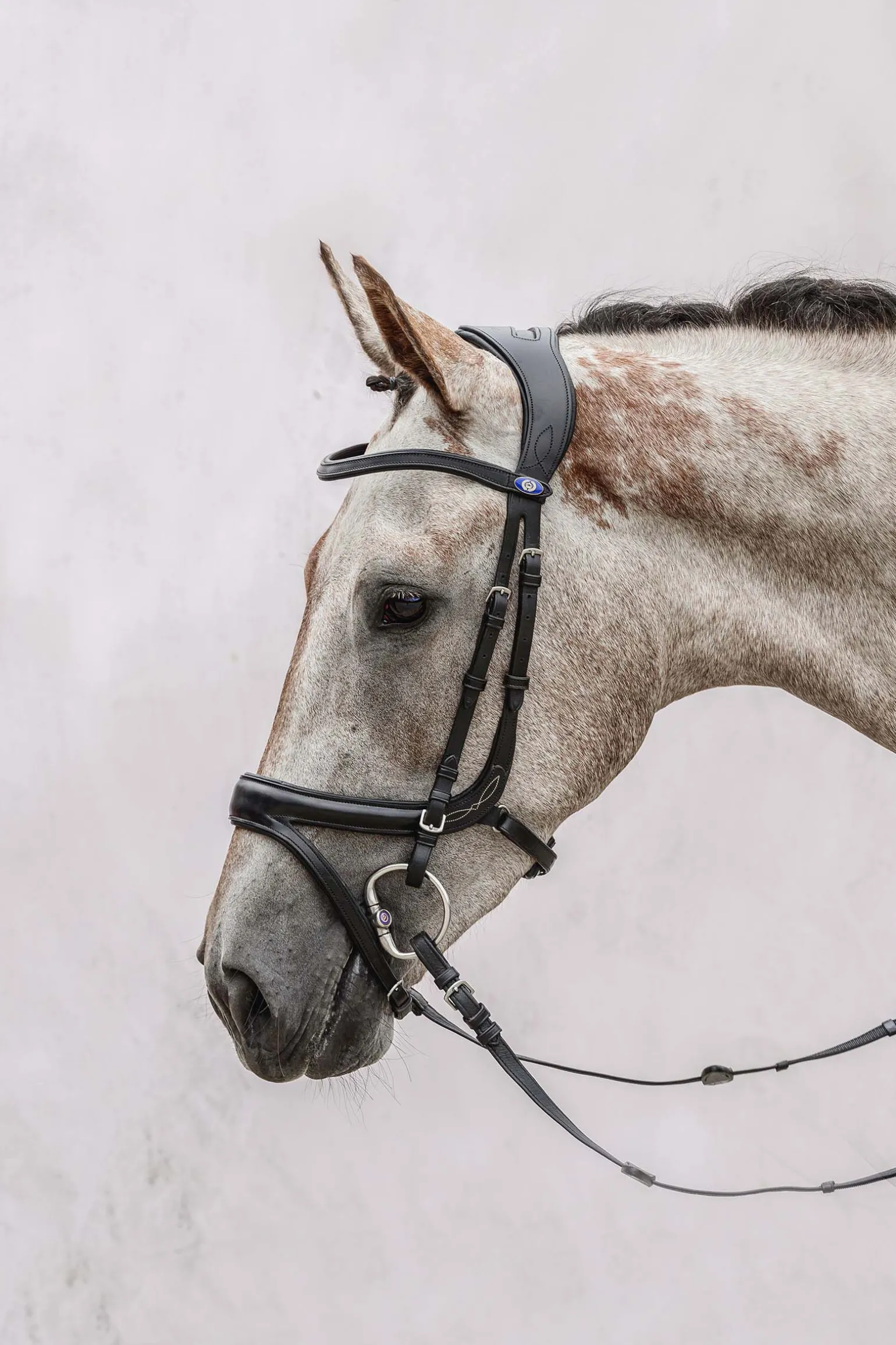 PS of Sweden Jump Off hodelag