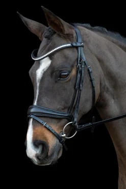 Schockemöhle Sports Charleston Hodelag