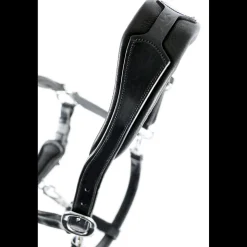 Schockemöhle Sports Fremont grime