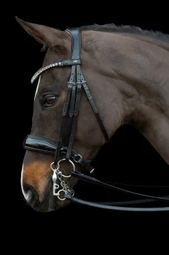 Schockemöhle Sports Milazzo Kandar