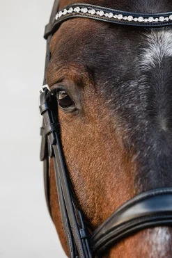 Schockemöhle Sports Milton Anatomic  Double Bridle