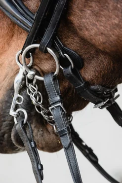 Schockemöhle Sports Milton Anatomic  Double Bridle