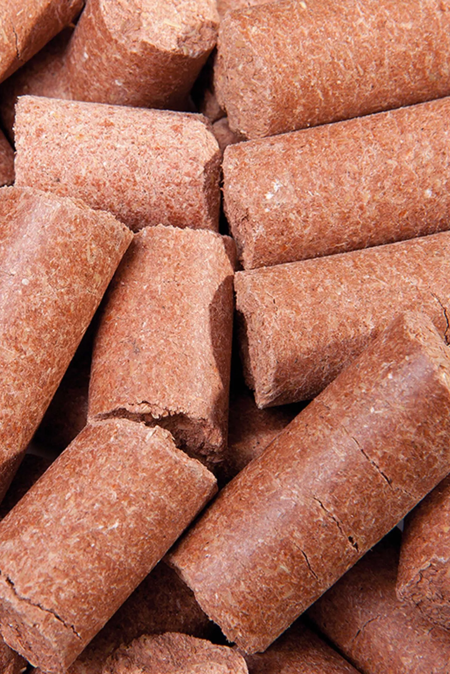 Speed Carrot Delicious Speedies, godbiter, 5 kilo