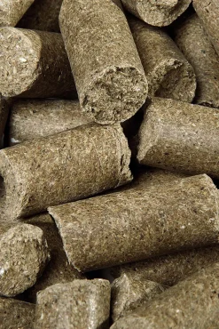 Speed Eucalyptus Delicious Speedies, godbiter, 5 kilo