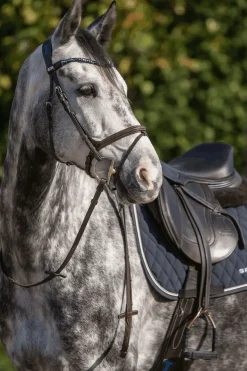 Sprenger Dynamic RS D-ringet Hunter bitt, 14 mm, enkeltbrutt, Sensogan, 70 mm D-ring