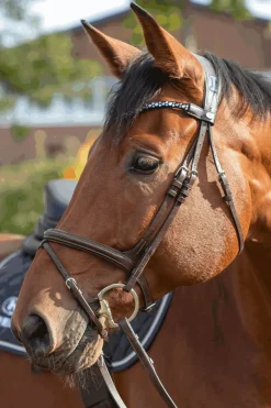 Sprenger Novocontact Muffebitt 14mm Enkeltleddet Sensogan Med D-Formede Ringer