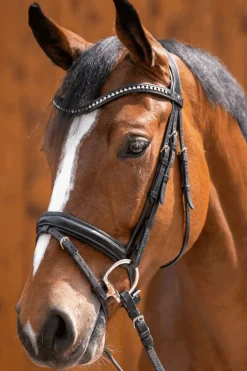 Sprenger Novocontact Olivehead Bit, Double Jointed