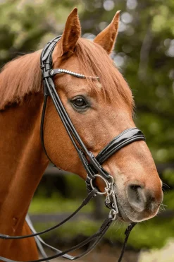 Sprenger Novocontact Weymouth 14mm Sensogan med 5cm rustfrie stålkjefter