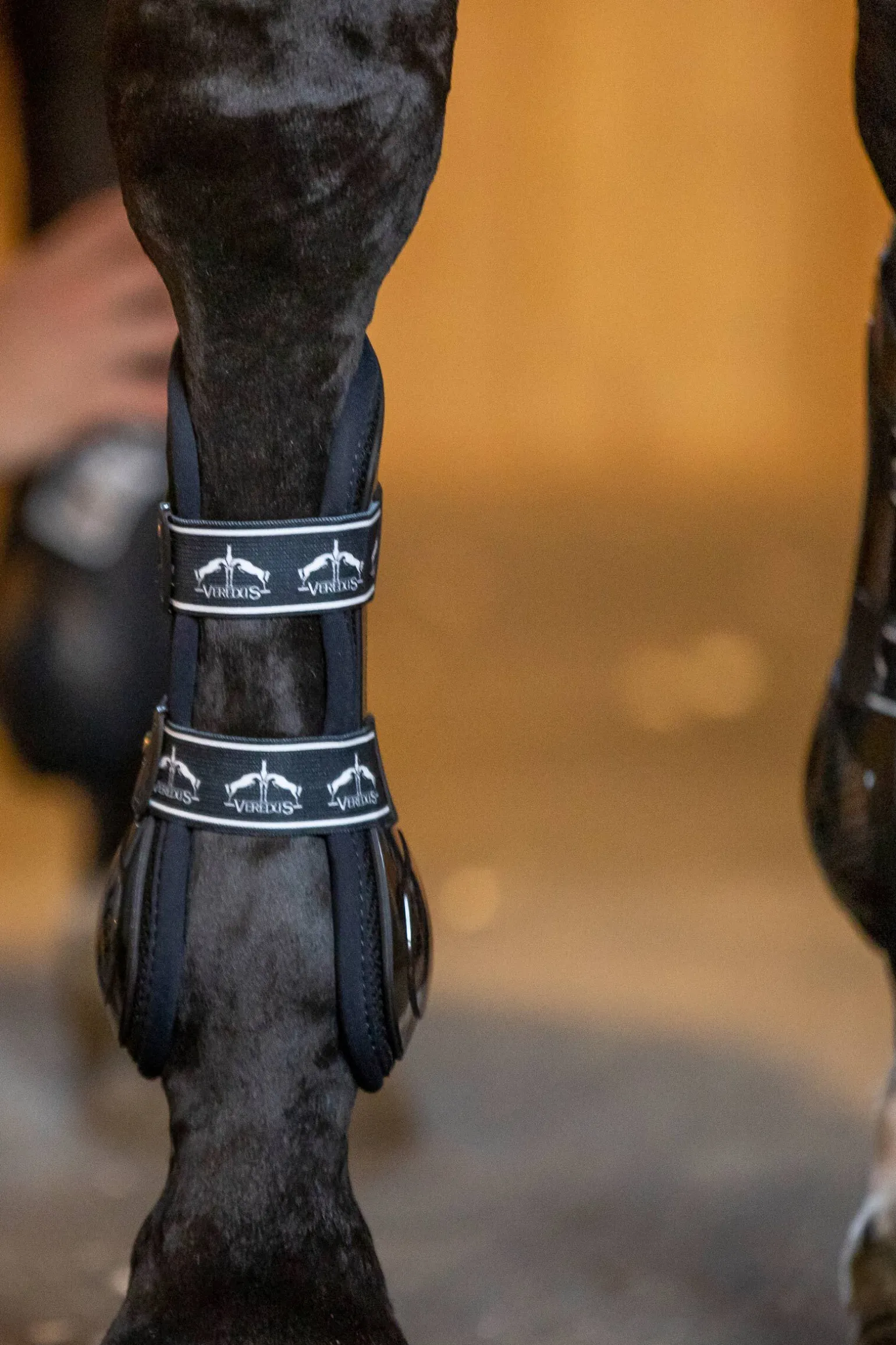 Veredus Carbon Gel Absolute senebelegg