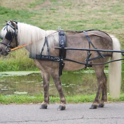 Waldhausen Economic sele, enbet, ponni og shetland