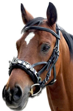 Waldhausen Leather Cavesson