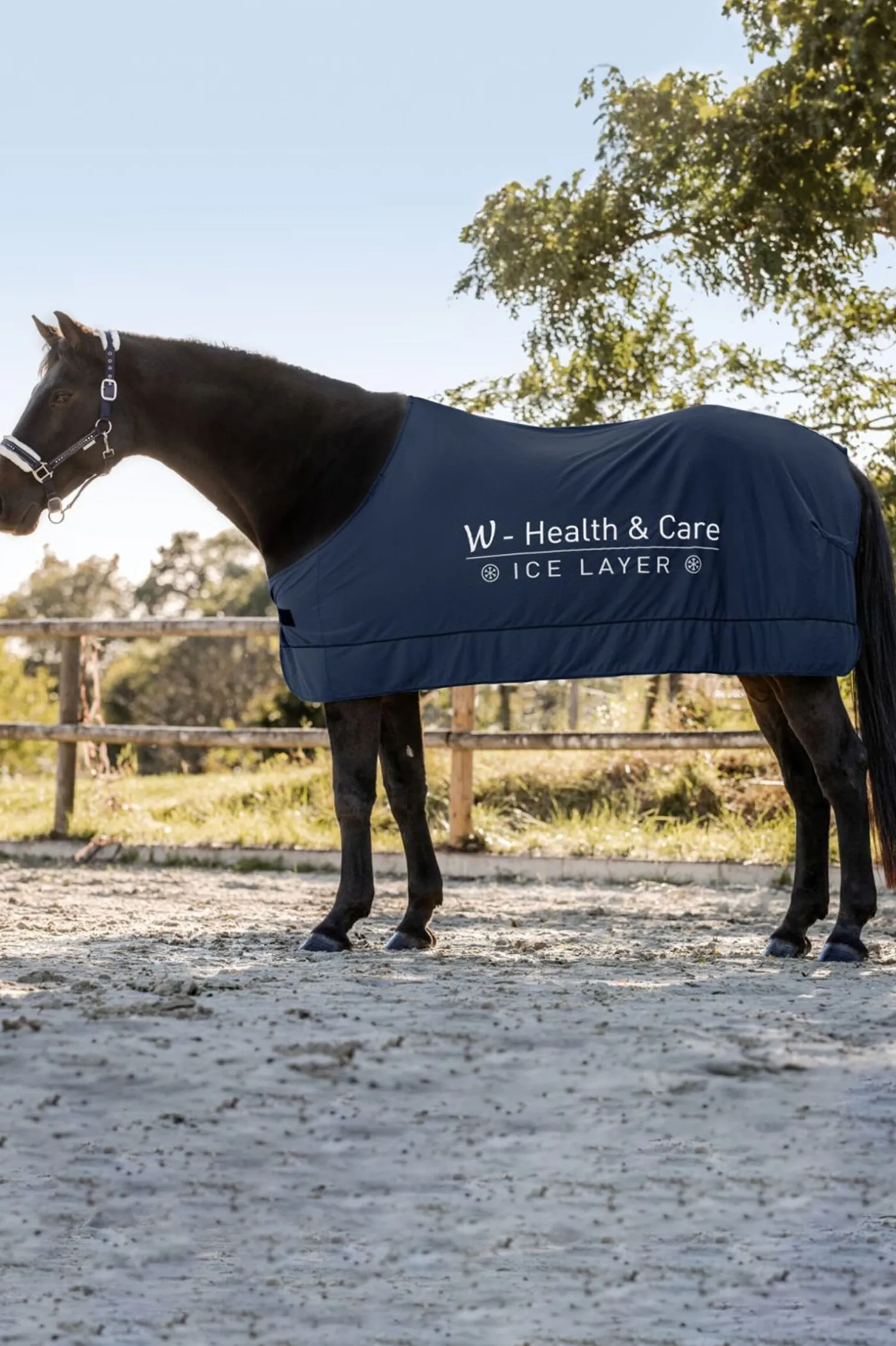 Waldhausen W-Health & Care Ice Layer Kjølepledd