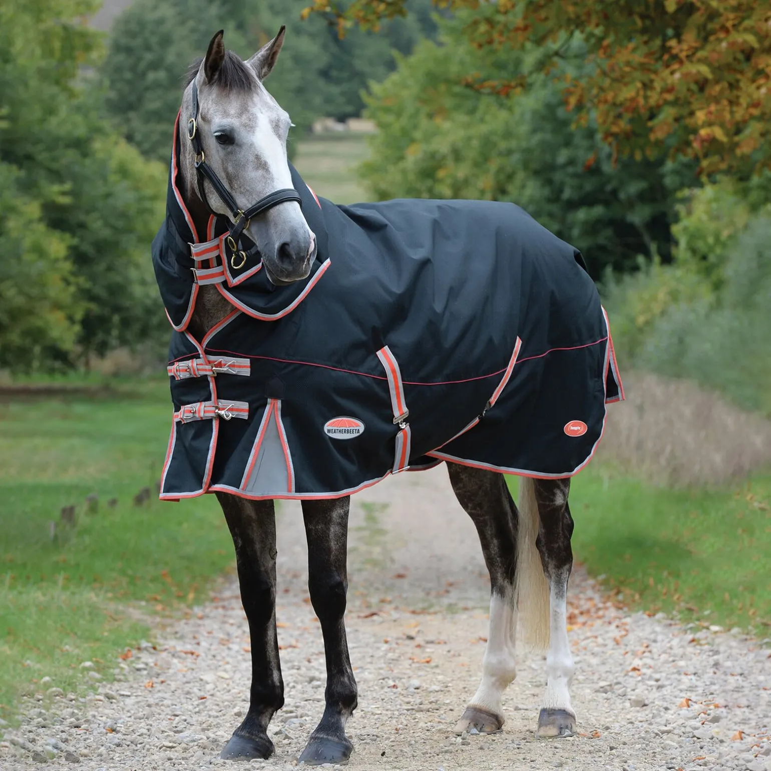 Weatherbeeta Comfitec Premier med Therapy-Tec inkludert avtakbar hals, 220 gram