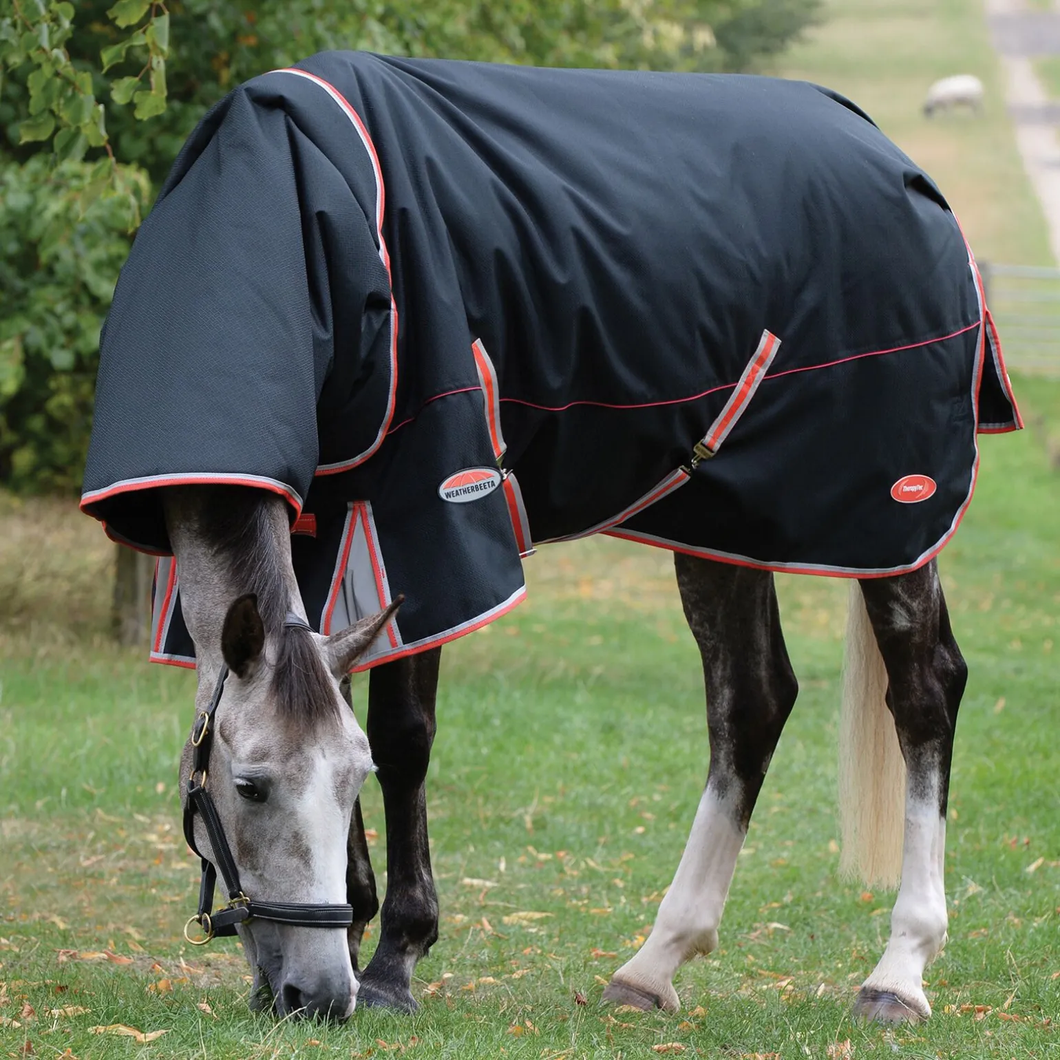 Weatherbeeta Comfitec Premier med Therapy-Tec inkludert avtakbar hals, 220 gram